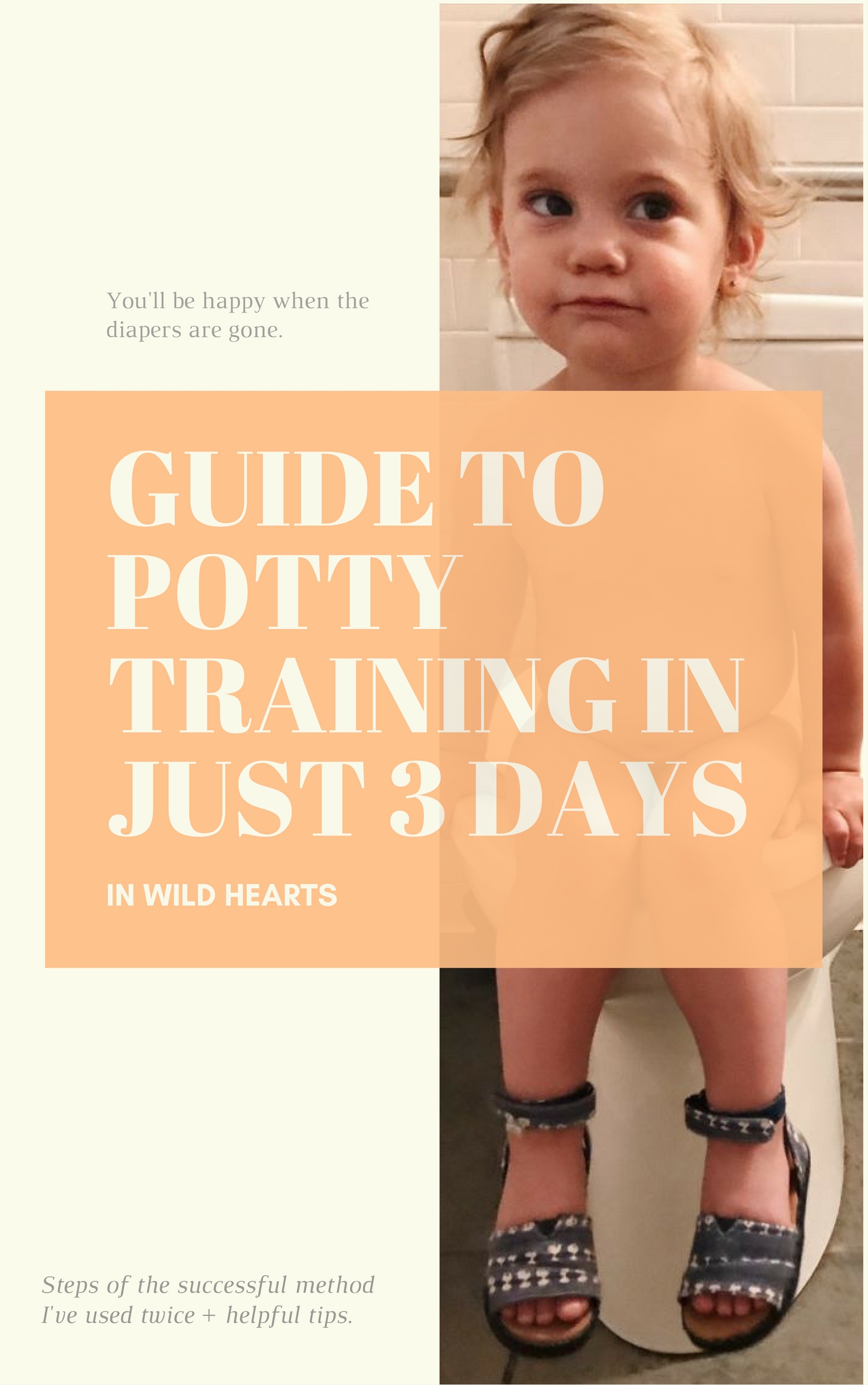 Guide To The Successful 3-Day Potty Training Method - In Wild Hearts